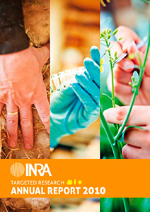 Rapport annuel INRA
