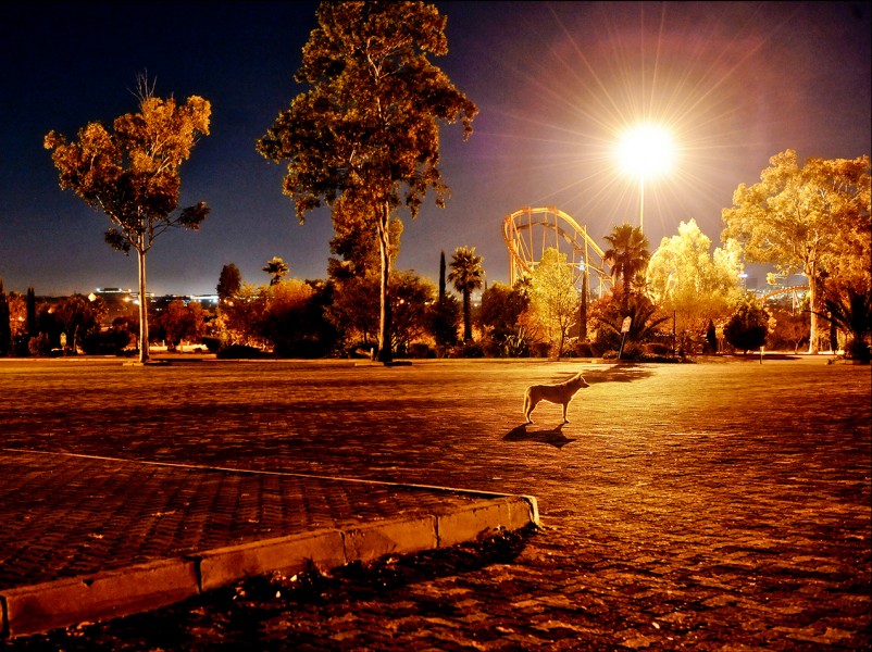 AFRIQUE DU SUD 